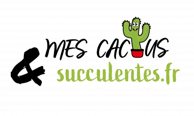 Mes Cactus Et Succulentes